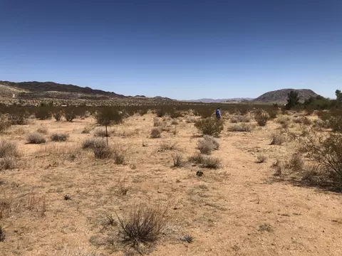 0 Lillac Ln, Landers, CA 92285 photo 7