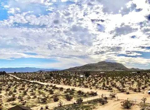 3317 Porter Blvd, Joshua Tree, CA 92252 photo 10