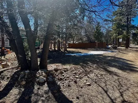 478 Cedar Ln, Sugarloaf, CA 92386 photo 2