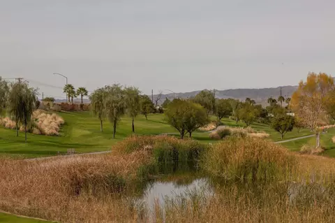 81935 Avenida Las Ramblas, Indio, CA 92203 photo 46