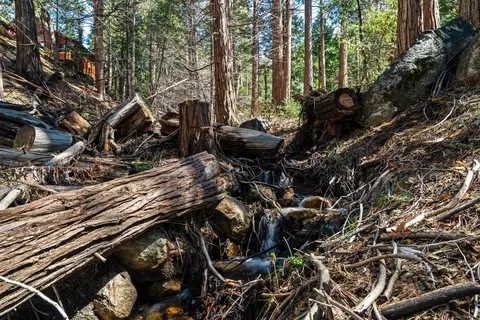 55210 Daryll Rd, Idyllwild, CA 92549 photo 61