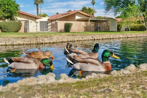 Other - 82118 Bergman Dr, Indio, CA 92201 photo 11 of 11
