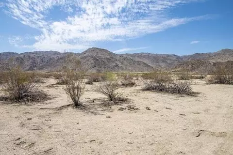 7102 Lupine Ave, Twentynine Palms, CA 92277