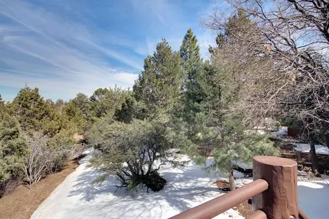 View/Area - 1332 Flintridge Ave, Big Bear City, CA 92314 photo 3 of 3