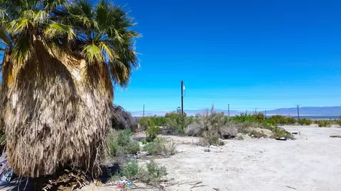 272 Brawley Ave, Thermal, CA 92274 photo 2