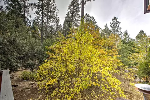Other - 55265 Daryll Rd, Idyllwild, CA 92549 photo 11 of 18