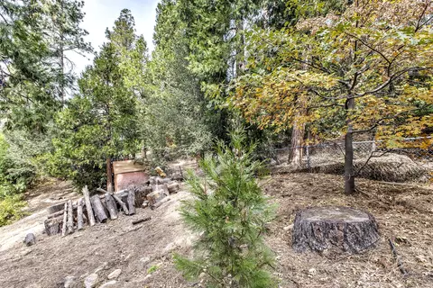 Exterior - 55265 Daryll Rd, Idyllwild, CA 92549 photo 18 of 20