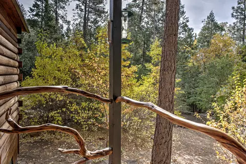 Other - 55265 Daryll Rd, Idyllwild, CA 92549 photo 7 of 18
