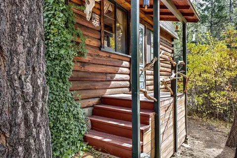 Exterior - 55265 Daryll Rd, Idyllwild, CA 92549 photo 5 of 20