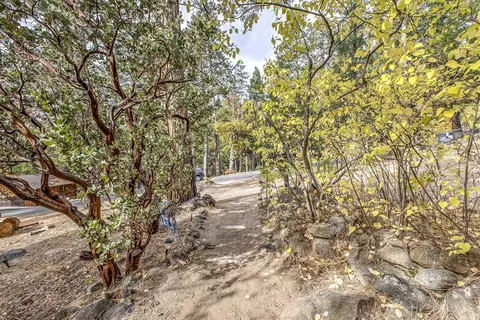 Other - 55265 Daryll Rd, Idyllwild, CA 92549 photo 18 of 18