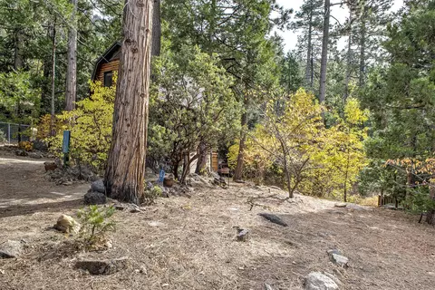 Other - 55265 Daryll Rd, Idyllwild, CA 92549 photo 3 of 18