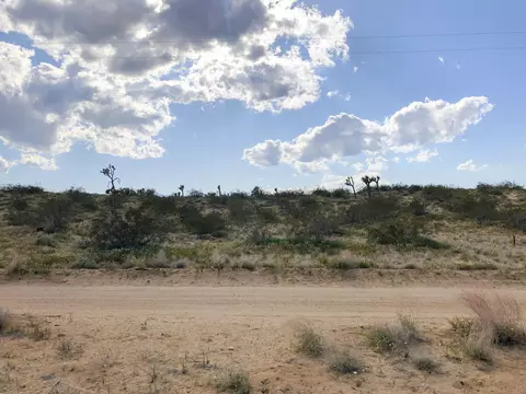 110 Balsa Ave, Landers, CA 92285 photo 21