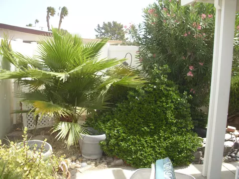 32600 Flagstaff Ave, Thousand Palms, CA 92276 photo 10