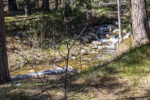 Other - 54564 S Circle Dr, Idyllwild, CA 92549 photo 5 of 6