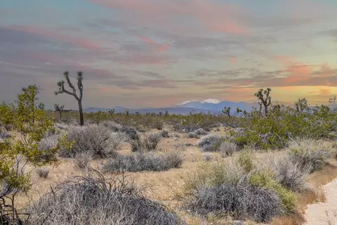 60417 Belfair Dr, Joshua Tree, CA 92252
