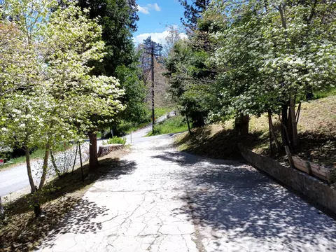 Exterior - 488 Hunt Ln, Crestline, CA 92325 photo 33 of 34