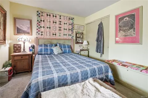 46616 Merrick Dr, Big Bear City, CA 92314 photo 29