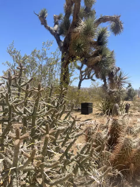 Exterior - 6715 San Angelo Ave, Joshua Tree, CA 92252 photo 8 of 10