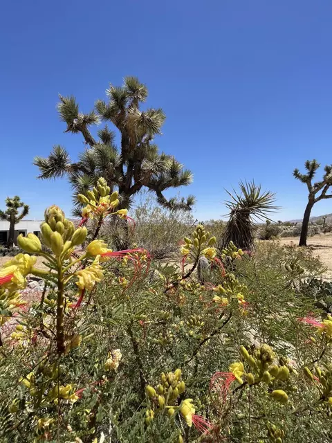 Exterior - 6715 San Angelo Ave, Joshua Tree, CA 92252 photo 5 of 10