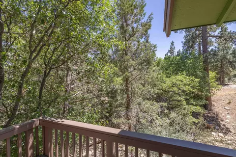 459 Pine Ln, Sugarloaf, CA 92386 photo 21
