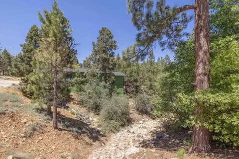 459 Pine Ln, Sugarloaf, CA 92386 photo 3