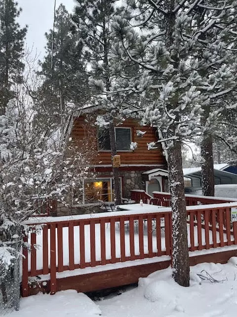 Exterior - 633 Irving Way, Big Bear City, CA 92314 photo 4 of 4