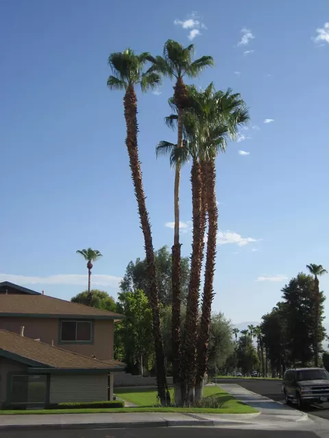 72727 Eagle Rd, Palm Desert, CA 92260 photo 24