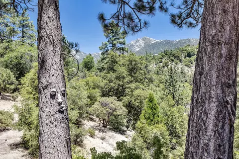 Other - 53655 Double View Dr, Idyllwild, CA 92549 photo 13 of 27