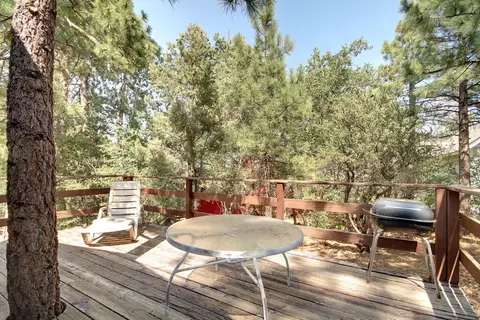 835 Maple Ln, Sugarloaf, CA 92386 photo 22