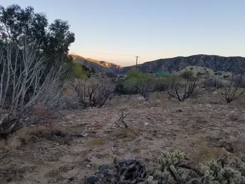 11616 Tecopa Dr, Morongo Valley, CA 92256 photo 6