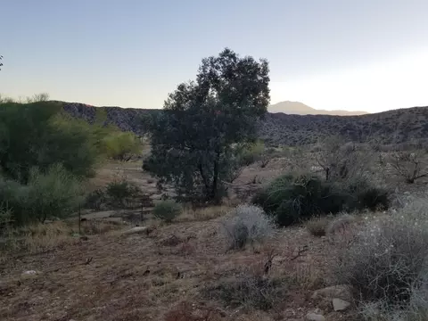 11616 Tecopa Dr, Morongo Valley, CA 92256 photo 24