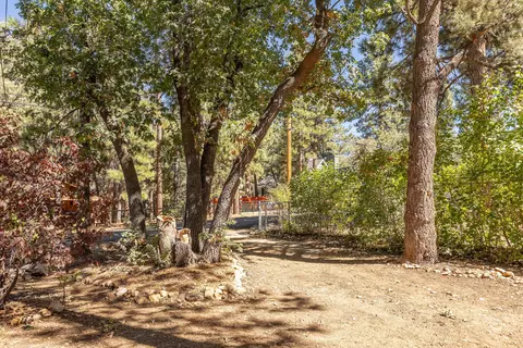 Exterior - 260 Highland Ln, Sugarloaf, CA 92386 photo 8 of 9