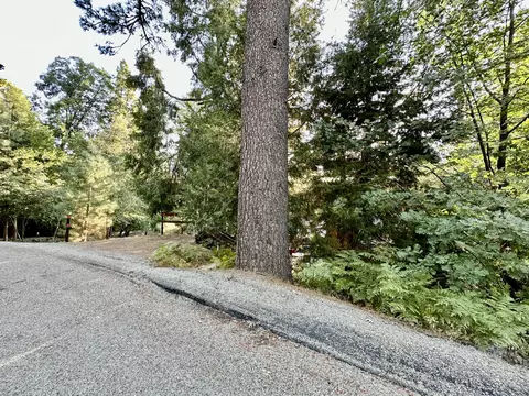 55220 Strong Dr, Idyllwild, CA 92549 photo 48