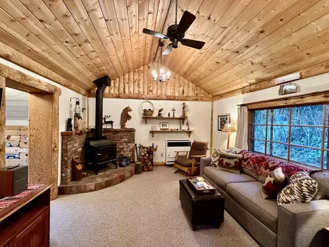 55220 Strong Dr, Idyllwild, CA 92549 photo 14
