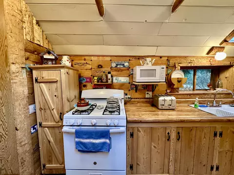 55220 Strong Dr, Idyllwild, CA 92549 photo 25
