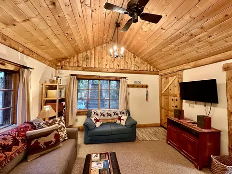 55220 Strong Dr, Idyllwild, CA 92549 photo 16
