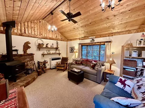 55220 Strong Dr, Idyllwild, CA 92549 photo 13