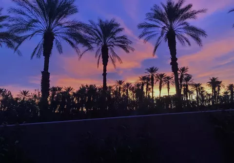 Other - 51550 Whiptail Dr, Indio, CA 92201 photo 10 of 13
