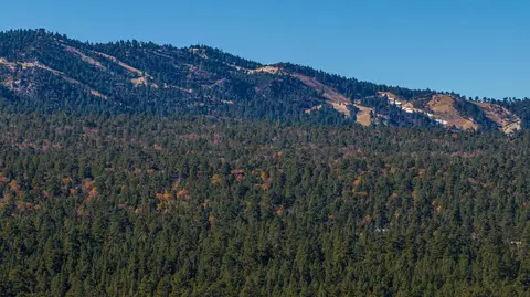 Other - 2300 Erwin Ranch Rd, Big Bear City, CA 92314 photo 14 of 14