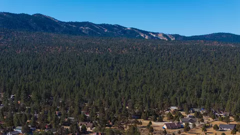 View/Area - 2300 Erwin Ranch Rd, Big Bear City, CA 92314 photo 5 of 5