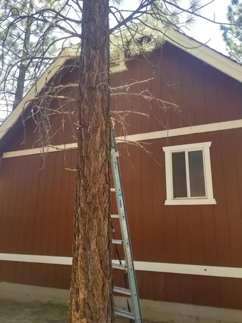 916 D Ln, Big Bear City, CA 92314 photo 3