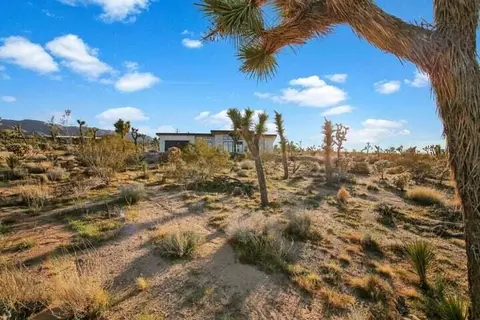 6690 Saddleback Rd, Joshua Tree, CA 92252 photo 40