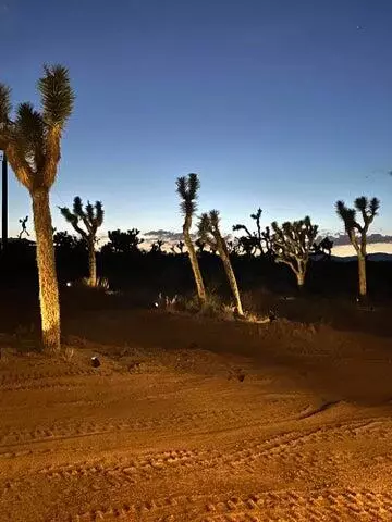6690 Saddleback Rd, Joshua Tree, CA 92252 photo 43
