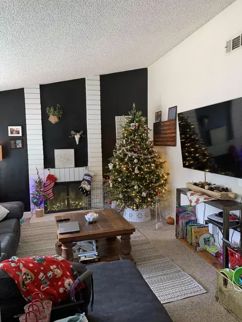 Living - 1521 Clock Ave, Redlands, CA 92374 photo 4 of 6