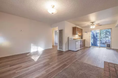 Living - 169 Cedar Ln, Sugarloaf, CA 92386 photo 3 of 5