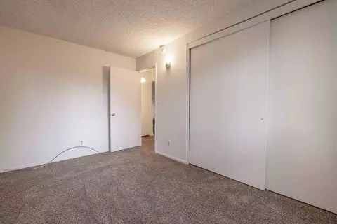 Bedroom - 169 Cedar Ln, Sugarloaf, CA 92386 photo 5 of 5