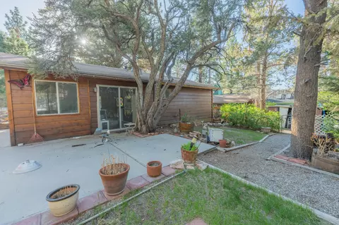 Exterior - 169 Cedar Ln, Sugarloaf, CA 92386 photo 4 of 9