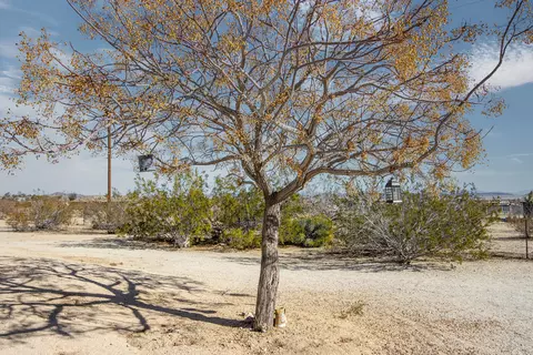 61766 Dennis Ave, Joshua Tree, CA 92252 photo 52
