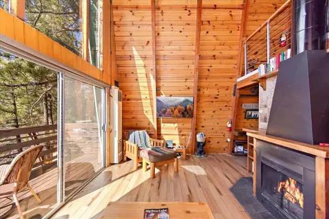 Living - 573 Silver Tip Dr, Big Bear Lake, CA 92315 photo 4 of 8