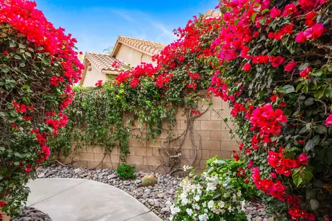 Exterior - 45673 Big Canyon St, Indio, CA 92201 photo 5 of 27